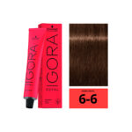 SCHWARZKOPF IGORA ROYAL 6-6 Blond Foncé Marron 60ml