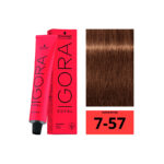 SCHWARZKOPF IGORA ROYAL 7-57 Blond Moyen Doré Cuivré 60ml