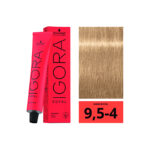 SCHWARZKOPF IGORA ROYAL 9,5-4 Pastel Beige 60ml