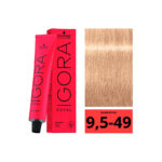 SCHWARZKOPF IGORA ROYAL 9,5-49 Pastel Beige 60ml