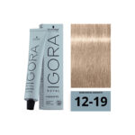 SCHWARZKOPF IGORA ROYAL Highlifts 12-19 Super-Éclaircissant Cendré Violet 60ml