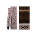 SCHWARZKOPF IGORA ROYAL Absolutes 5-50 Châtain Clair Doré Naturel 60ml