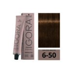SCHWARZKOPF IGORA ROYAL Absolutes 6-50 Blond Foncé Doré Naturel 60ml