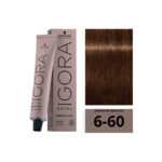 SCHWARZKOPF IGORA ROYAL Absolutes 6-60 Blond Foncé Marron Naturel 60ml
