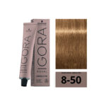 SCHWARZKOPF IGORA ROYAL Absolutes 8-50 Blond Clair Doré Naturel 60ml