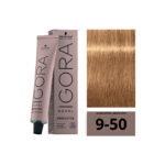 SCHWARZKOPF IGORA ROYAL Absolutes 9-50 Blond Très Clair Doré Naturel 60ml