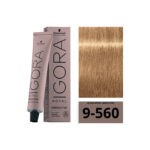 SCHWARZKOPF IGORA ROYAL Absolutes 9-560 Blond Très Clair Doré Marron Naturel 60ml